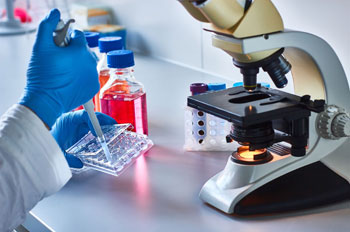 lab